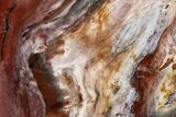 Freestanding, Polished Petrified Wood - Madagascar #384332-2